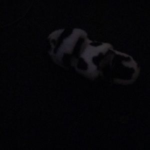 Meet your Posher, Stella